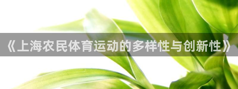 球王会体育：《上海农民体育运动的多样性与创新性》