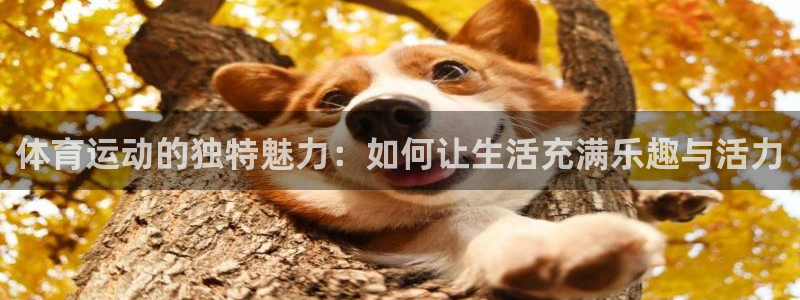 球王会体育：体育运动的独特魅力：如何让生活充满乐趣与活力