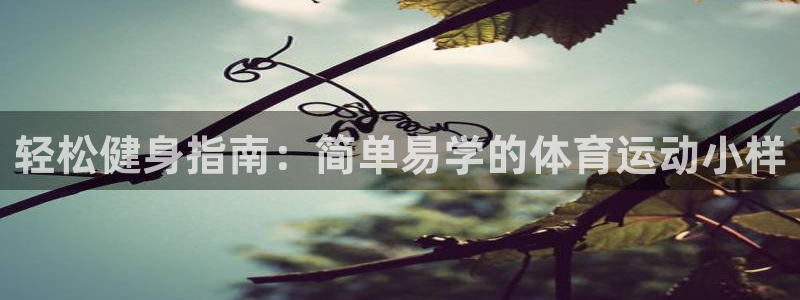 球王会体育：轻松健身指南：简单易学的体育运动小样