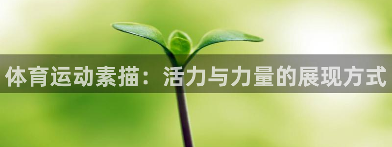 球王会体育：体育运动素描：活力与力量的展现方式