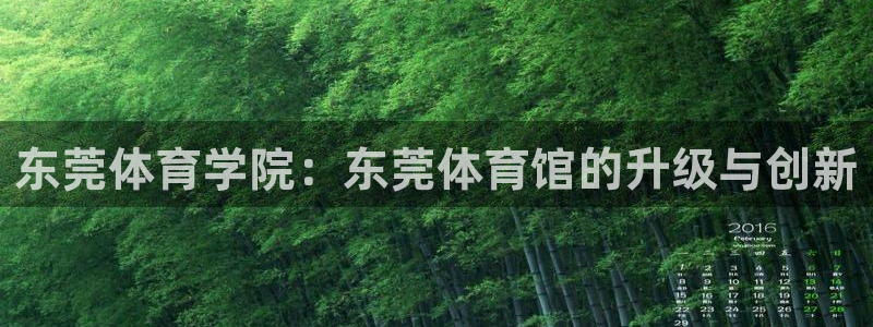 球王会体育：东莞体育学院：东莞体育馆的升级与创新