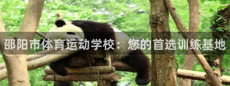 球王会体育：邵阳市体育运动学校：您的首选训练基地