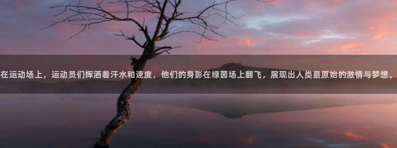 球王会体育：在运动场上，运动员们挥洒着汗水和速度，他们的身影在绿茵场上翻飞，展现出人类最原始的激情与梦想。