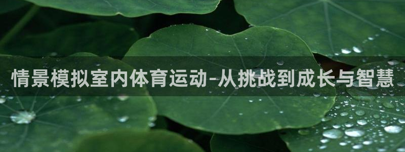 球王会体育：情景模拟室内体育运动-从挑战到成长与智慧