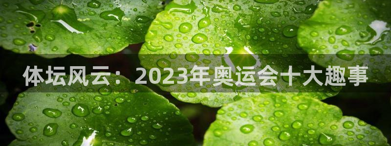 球王会体育：体坛风云：2023年奥运会十大趣事