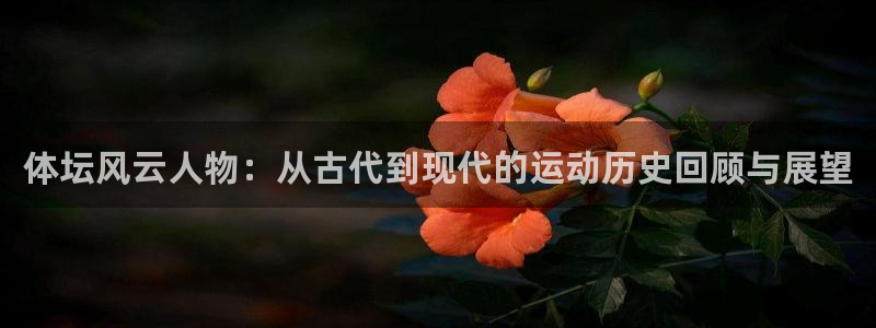 球王会体育：体坛风云人物：从古代到现代的运动历史回顾与展望