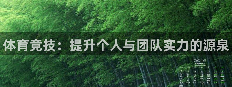 球王会体育：体育竞技：提升个人与团队实力的源泉
