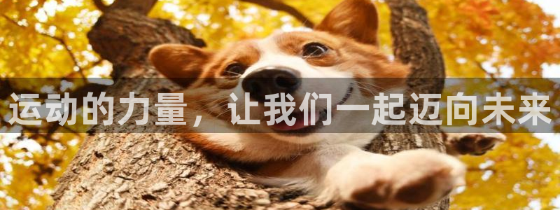 球王会体育：运动的力量，让我们一起迈向未来