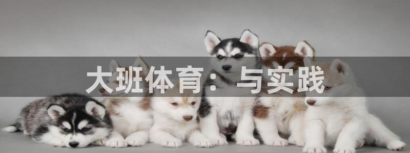 球王会体育：大班体育：与实践
