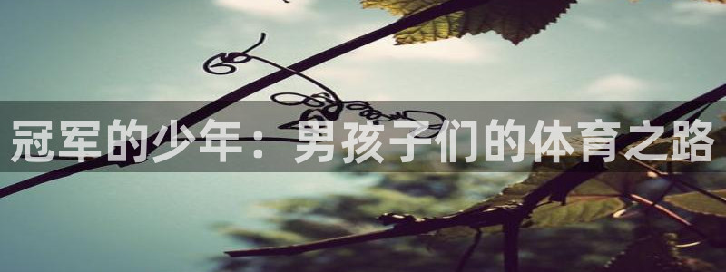 球王会体育：冠军的少年：男孩子们的体育之路