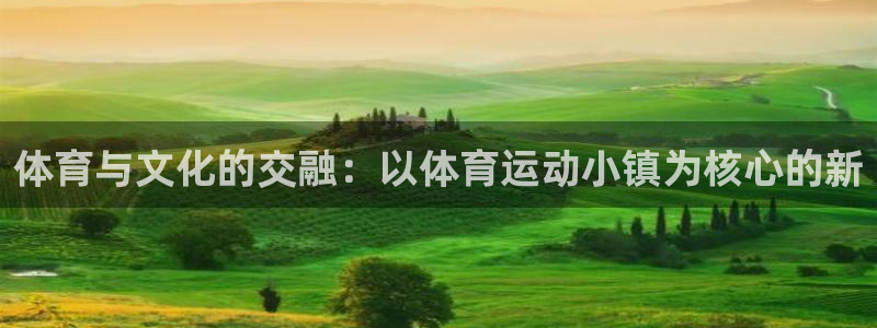 球王会体育：体育与文化的交融：以体育运动小镇为核心的新