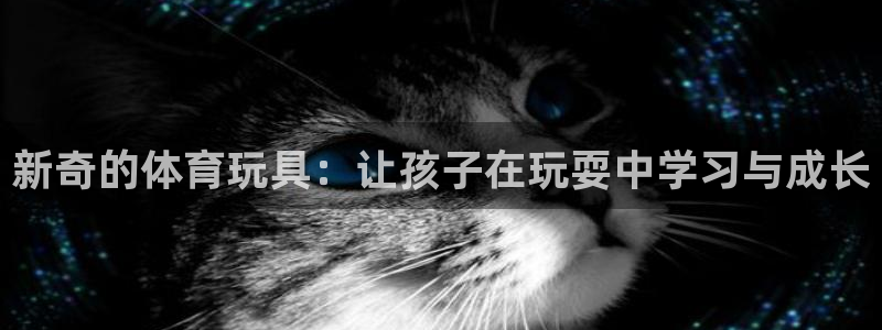 球王会体育：新奇的体育玩具：让孩子在玩耍中学习与成长