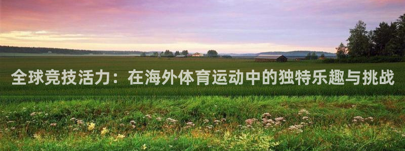 球王会体育：全球竞技活力：在海外体育运动中的独特乐趣与挑战
